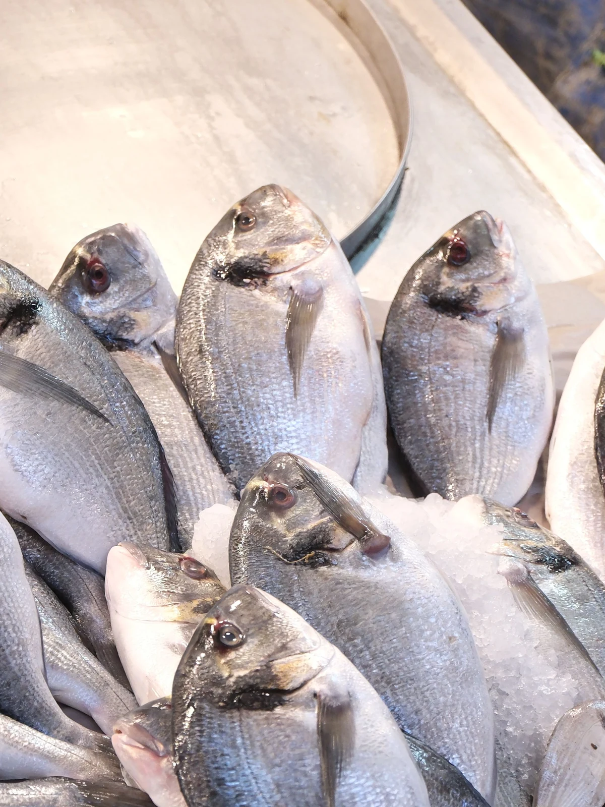 Poissons méditerranéens frais présentés sur glace au marché